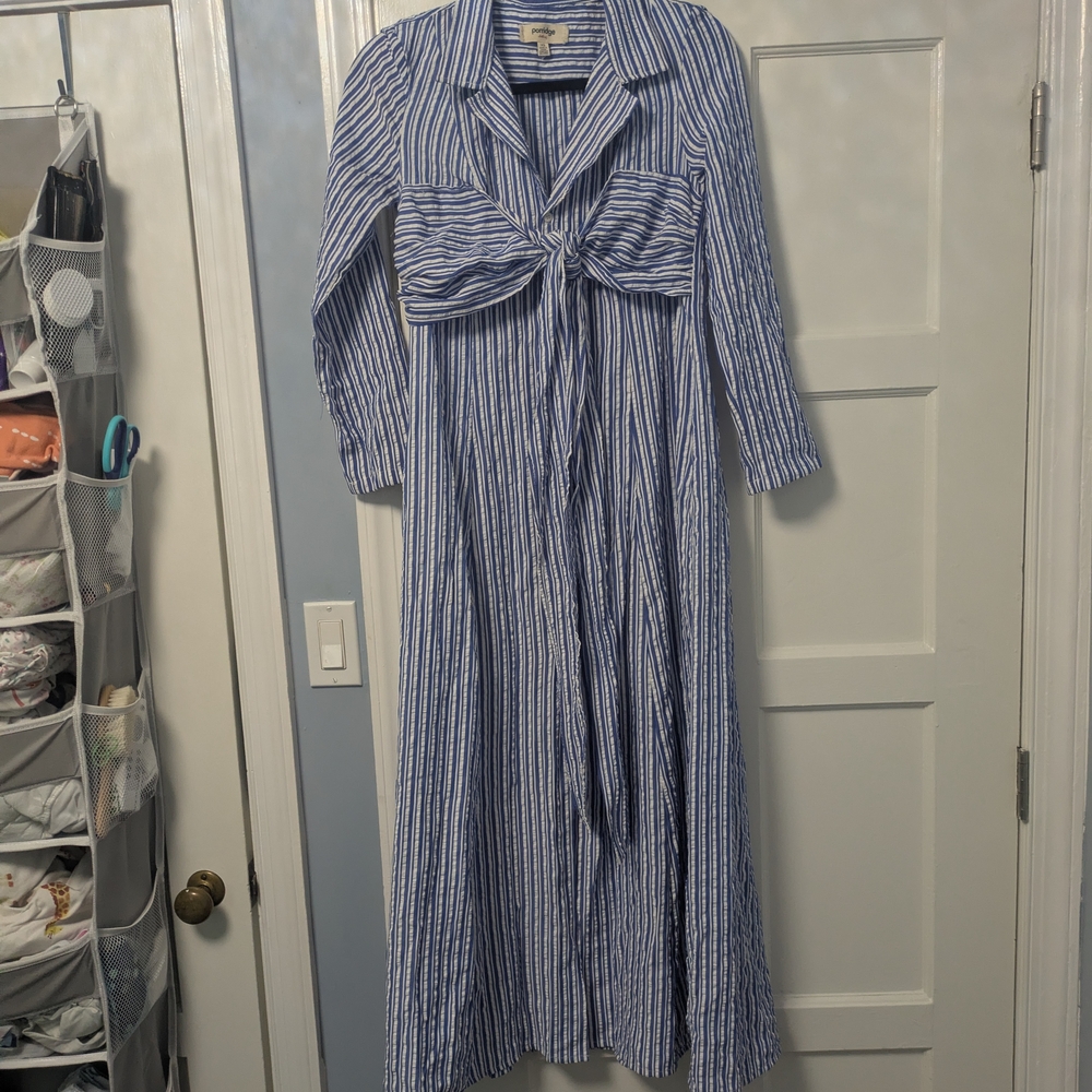 Anthropologie Blue and White Striped Maxi Dress - Picture 4 of 13